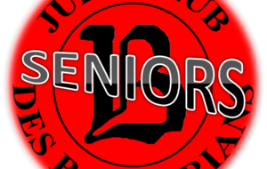 Seniors - Département 1ère division 02-2013
